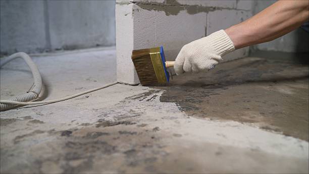 SJ Waterproofing Pros Waterproofing coverage map for Lakeview, WA and surrounding area